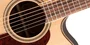 Takamine GD93CE