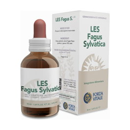 Forza Vitale LES Fagus Sylvatica