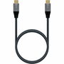 Câble USB-C Aisens A107-0670 60 cm Gris (1 Unité)