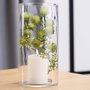 Day Vase Cylindre Transparent 15x30 cm
