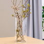 Day Vase Cylindre Transparent 15x30 cm