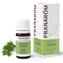 PRANAROM ACEITES Huile essentielle de levistique 5 ml