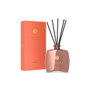 Rituals Collection Privée Suéde Vanille mini bâtonnets parfumés 100 ml