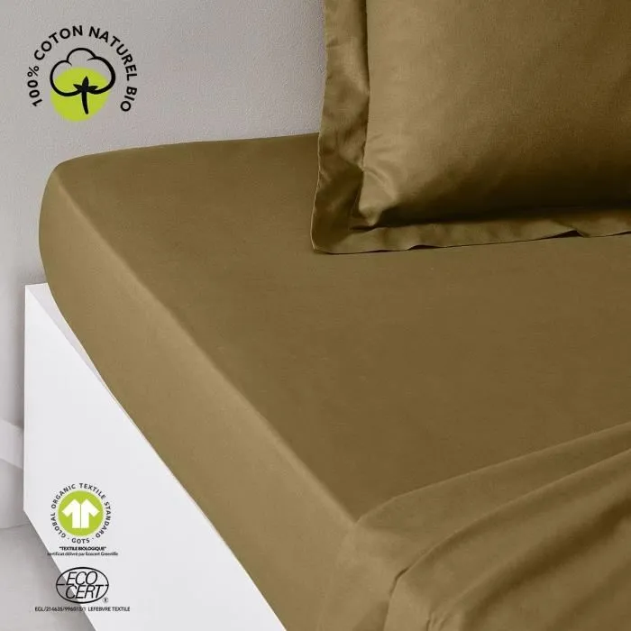 Today - Drap housse bio certifié GOTS et Oeko-Tex - Coton 57 fils/cm² - 180 x 200 cm + 30 cm - Organic Bronze Today - Drap housse bio certifié GOTS et Oeko-Tex - Coton 57 fils/cm² - 180 x 200 cm + 30 cm - Organic Bronze