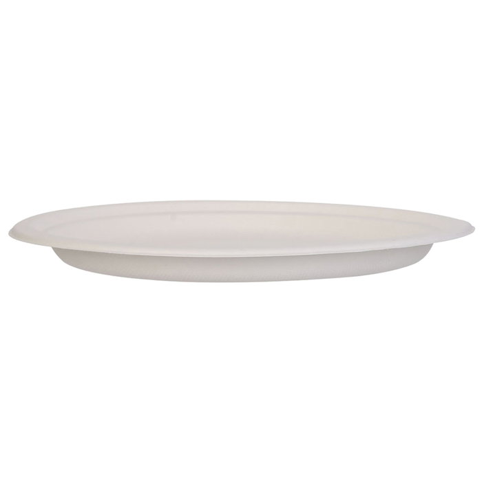Cook Concept Lot de 10 Assiettes Caña Azú 25 cm