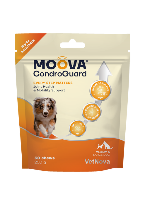 Vetnova Moova Condroguard 50 Chews pour chiens de taille moyenne et grande Vetnova Moova Condroguard 50 Chews pour chiens de taille moyenne et grande