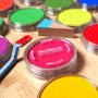 Panpastel Set 30 Peintures
