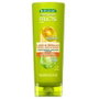 Garnier Fructis Liso & Brillo Après-shampoing 250 ml