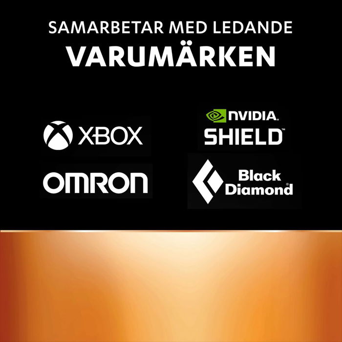 Piles Rechargeables DURACELL DPBLR6B8 1,5 V