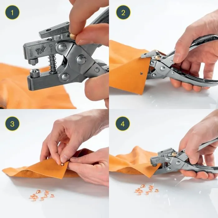 Rapid RP05 - Pince à œillets professionnelle avec poinçon intégré - Kit complet (105 œillets Ø4 mm) - Pour cuir, toile, textiles - Capacité de poinçonnage 2 à 4.5 mm Rapid RP05 - Pince à œillets professionnelle avec poinçon intégré - Kit complet (105 œillets Ø4 mm) - Pour cuir, toile, textiles - Capacité de poinçonnage 2 à 4.5 mm