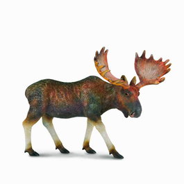 COLLECTA Élan - Échelle L