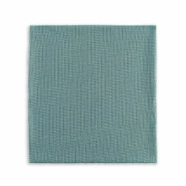 Ecolimpia Bayeta spéciale vitres, 50 x 40 cm, Vert
