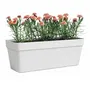 Artevasi Jardinière Rectangulaire Plastique Blanc CAPRI 12,5 L - L 49.9 x P 20 x H 18.1 cm - Percée pour Drainage