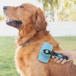 Brosse pour Animaux de Compagnie avec Dents Rétractables Groombot InnovaGoods