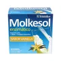 YNSADIET MOLKESOL Enzymatique Vanille 30 Sachets