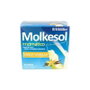 YNSADIET Molkesol Enzimático Vanille 30 sachets