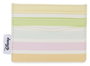 Disney by Loungefly étui pour carte de transport Mickey and Friends Rainbow Stripes