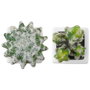 Day Plante artificielle cactus, lot de 6 unités