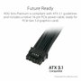 Asus ROG Strix Platinum 1000W Black/Silver