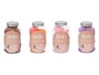 BERILO Lot de 14 éponges de maquillage assorties - 4 couleurs