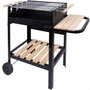 Aktive Barbecue au charbon de bois Rectangulaire Noir