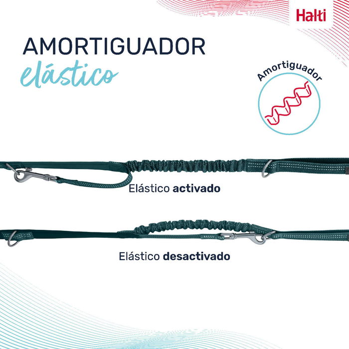 Laisse pour Chien Company of Animals Turquoise L