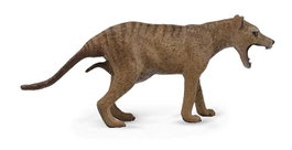COLLECTA Thylacine Tigre de Tasmanie Femelle - Échelle L