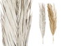 GIFTDECOR Rameau de feuilles de palmier assorti blanc et naturel