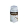 PLANTAPOL OXI-PERMALIN 60caps