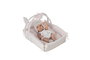 Muñecas Arias - Poupée Elegance 33 cm Nativité avec Berceau (Berceau: 26x37x24 cm) - Langue produit : Espagnol