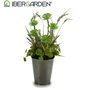 Ibergarden Macette Haute Plante Modèles Variés 20x41x20cm Vert/Gris Lot Aléatoire (Set de 6)
