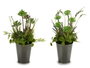 Ibergarden Macette Haute Plante Modèles Variés 20x41x20cm Vert/Gris Lot Aléatoire (Set de 6)