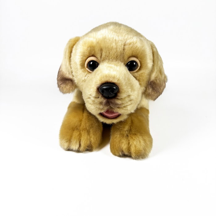 DEQUBE Peluche Labrador Canela Couché 25 cm - Licence BOCALAN DEQUBE Peluche Labrador Canela Couché 25 cm - Licence BOCALAN