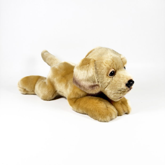 DEQUBE Peluche Labrador Canela Couché 25 cm - Licence BOCALAN DEQUBE Peluche Labrador Canela Couché 25 cm - Licence BOCALAN