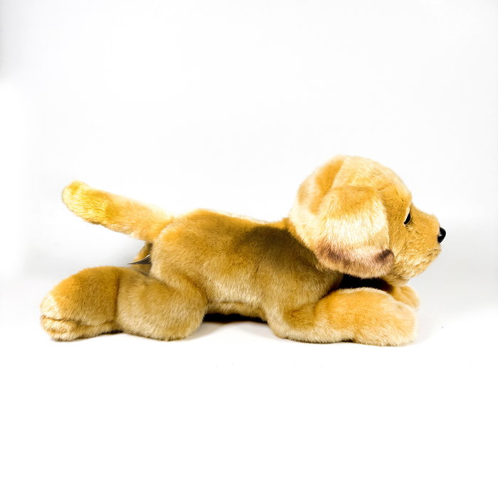 DEQUBE Peluche Labrador Canela Couché 25 cm - Licence BOCALAN DEQUBE Peluche Labrador Canela Couché 25 cm - Licence BOCALAN