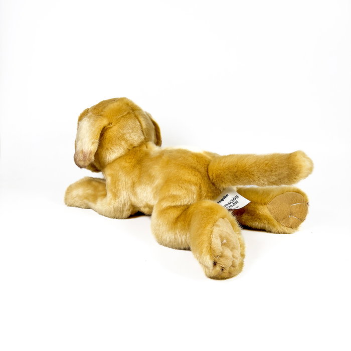 DEQUBE Peluche Labrador Canela Couché 25 cm - Licence BOCALAN DEQUBE Peluche Labrador Canela Couché 25 cm - Licence BOCALAN
