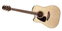 Takamine GD51CELH-NAT Guitare électroacoustique pour gauchers