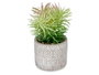 Ibergarden Plante à feuilles fines en pot gris ciment 12x22x12 cm (Set de 8)