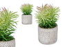 Ibergarden Plante à feuilles fines en pot gris ciment 12x22x12 cm (Set de 8)