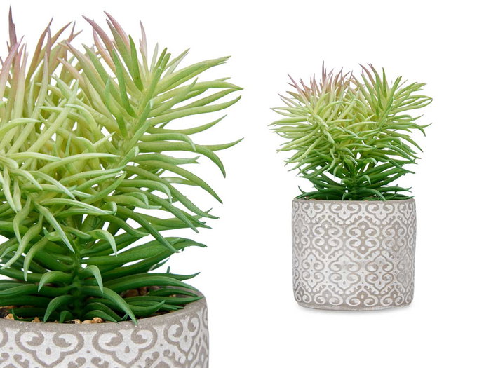 Ibergarden Plante à feuilles fines en pot gris ciment 12x22x12 cm (Set de 8)
