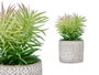 Ibergarden Plante à feuilles fines en pot gris ciment 12x22x12 cm (Set de 8)