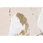 Home ESPRIT Toile Oiseaux Scandinave Blanc Beige Gris Doré (2 Unités)