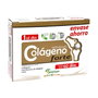 Pinisan Collagène Hydrolisé Forte 60 capsules végétales