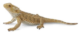 COLLECTA Lagarto Dragón Barbudo - L
