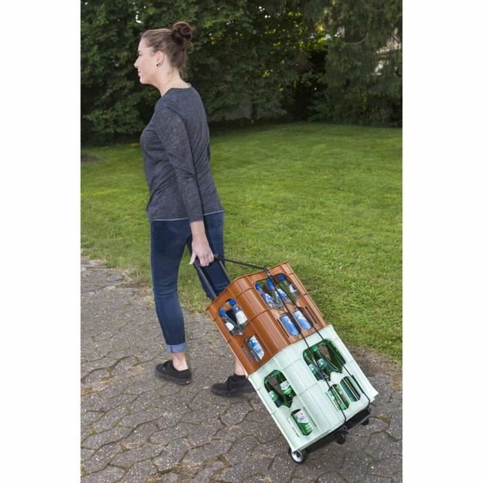Meister Mini diable pliable 45 kg Noir