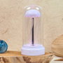 The Concept Factory Lampe LED Medusa
