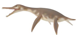COLLECTA Dolichorhynchops - Taille M