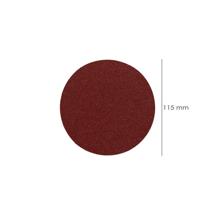 WOLFPACK LINEA PROFESIONAL Disques abrasifs à velcro 125 mm Grain 120, Lot de 10