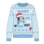 Cerdá - Jersey à col rond avec motif Bluey de Noël - Taille 3 ans - Pour enfant de 3 ans - Bleu clair