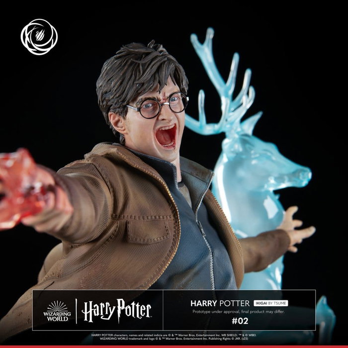 Tsume Harry Potter Figurine Ikigai 1/6